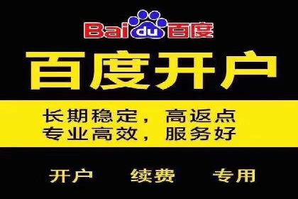 百度竞价推广的优化策略：一家科技公司的成功经验